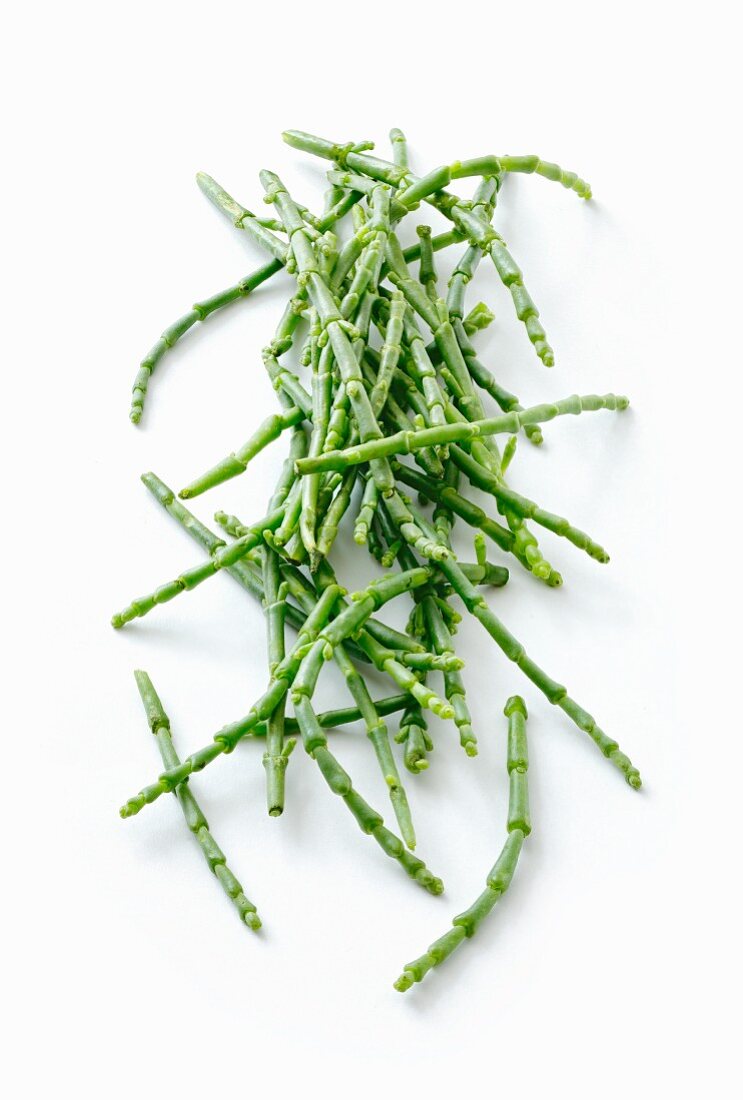 Fresh samphire