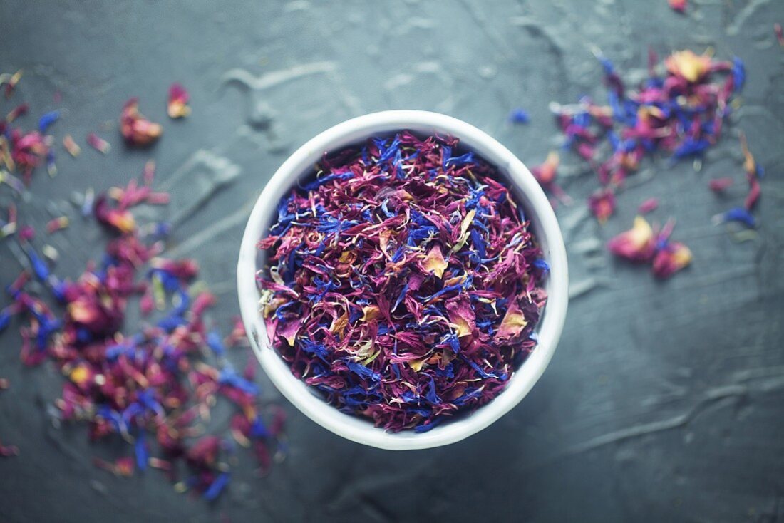 Edible flowers on a grey background