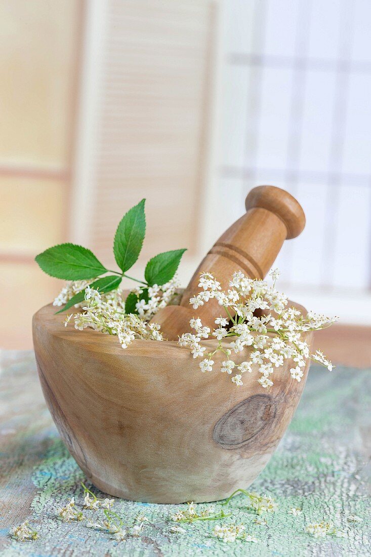 Fresh elderflowers in a wooden mortar