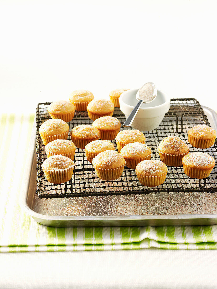 Mini-Muffins mit Sultaninen und Zimt auf Abkühlgitter