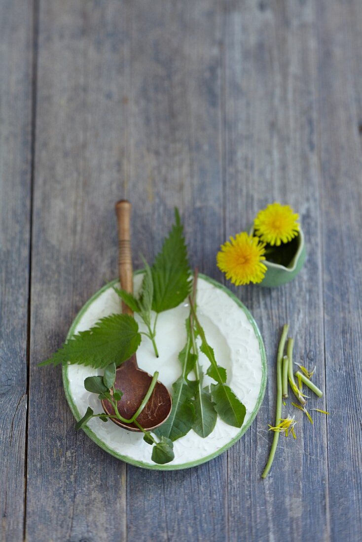 Watercress, stinging nettle and dandelions on a plate