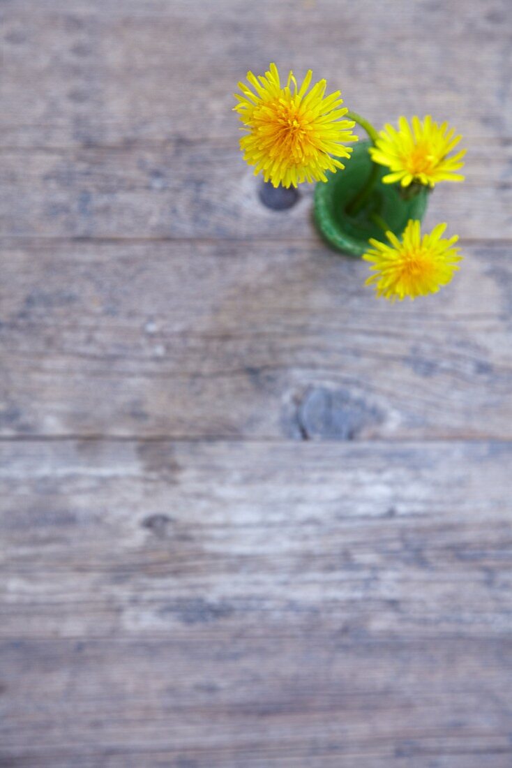 Dandelions in a small vase