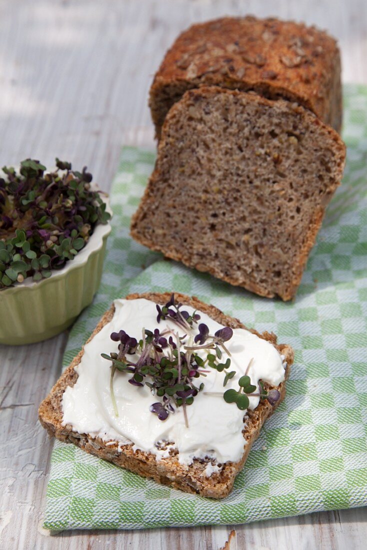 Vollkornbrot mit Frischkäse und Kresse