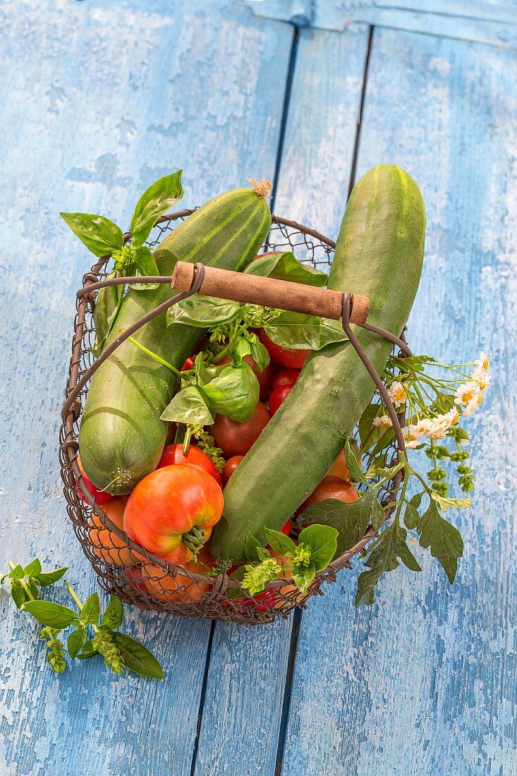 Tomatoes, cucumbers and herbs in a wire basket