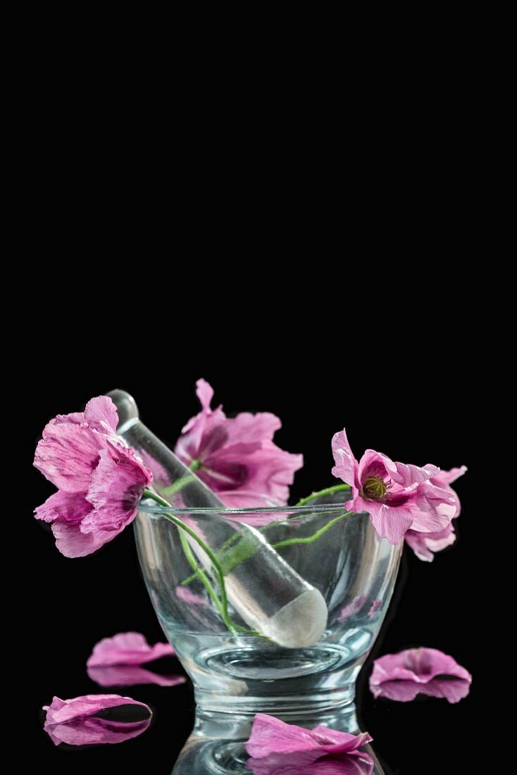 Purple poppies in a glass mortar