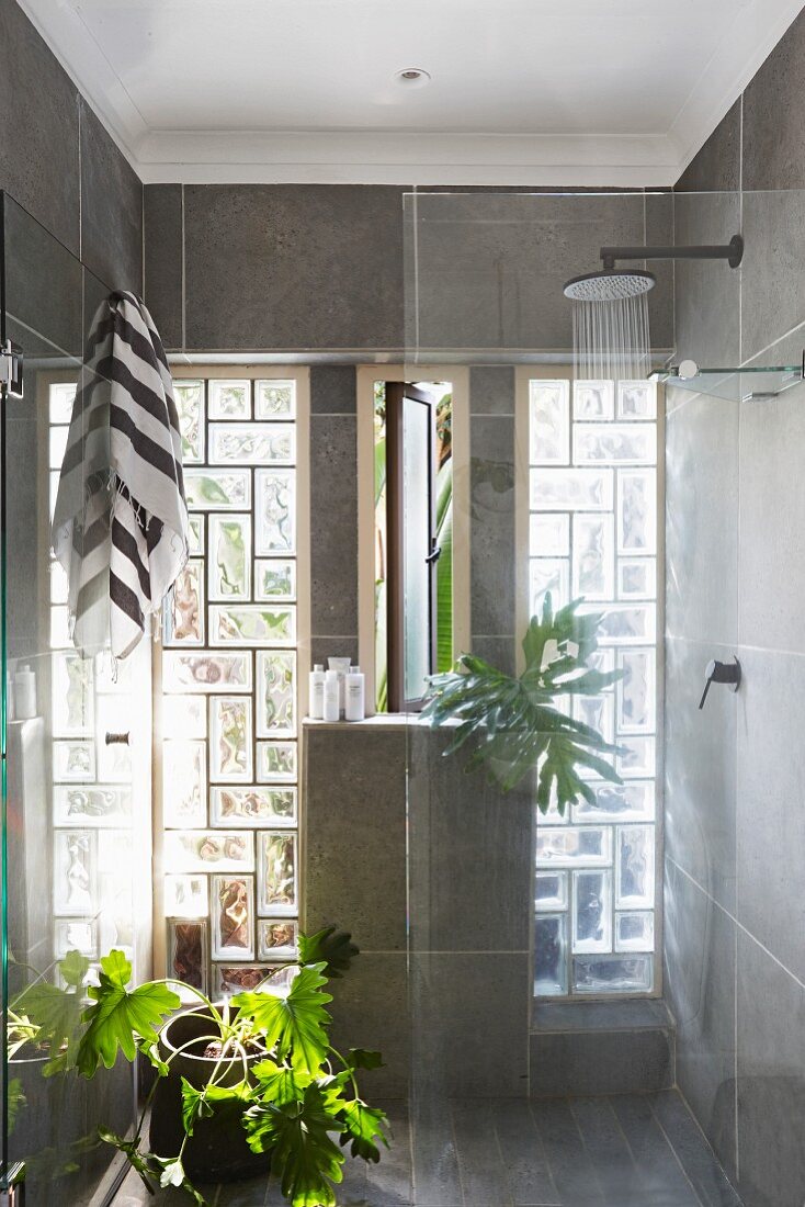 Houseplants in full-width shower with glass-brick wall