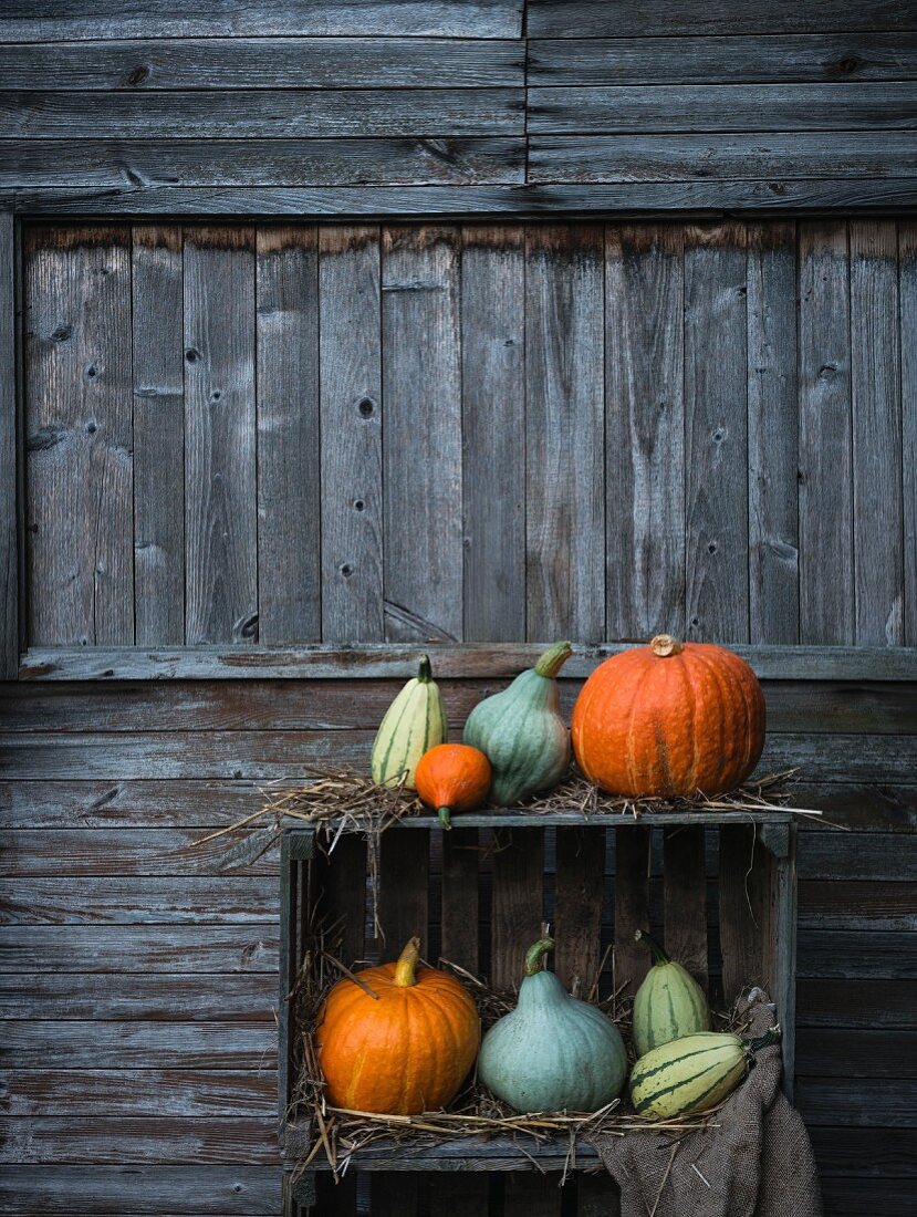 Various types of pumpkin arranged on a wooden box