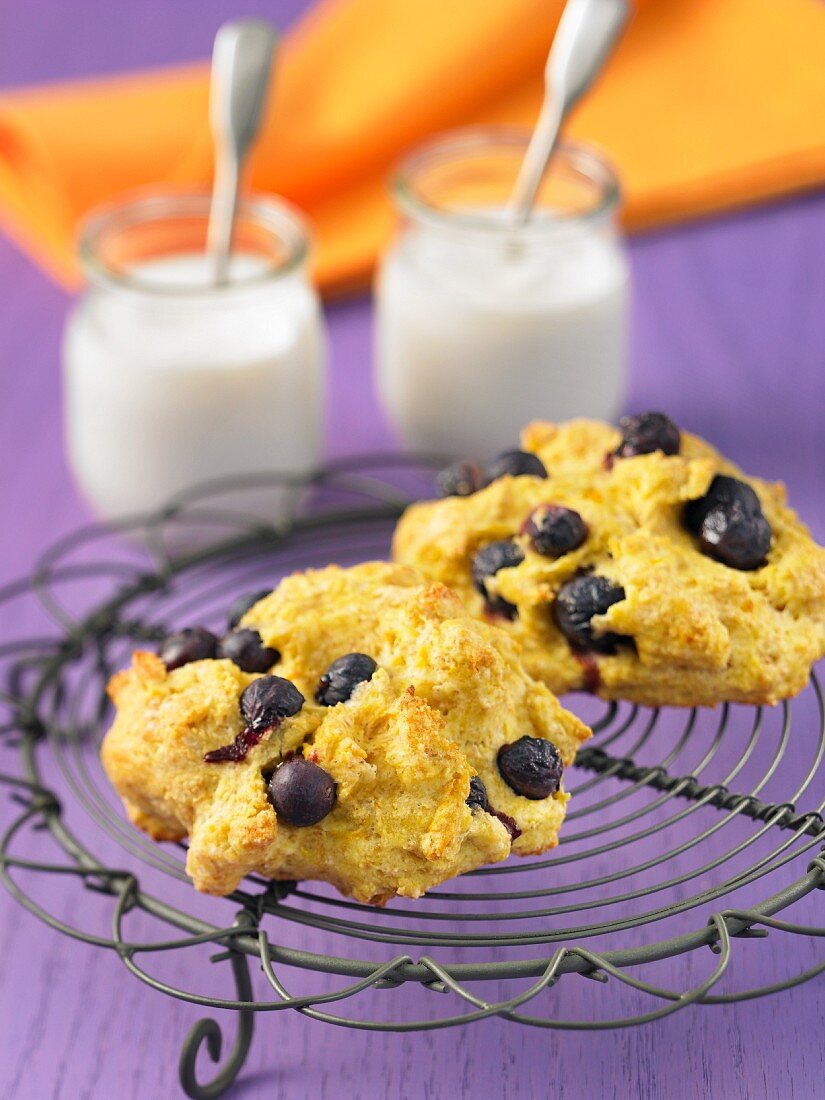 Blaubeer-Joghurt-Scones auf Abkühlgitter