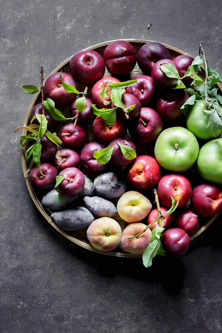 Sommerfrüchte: Äpfel, Nektarinen, Pfirsiche und Pflaumen auf Tablett