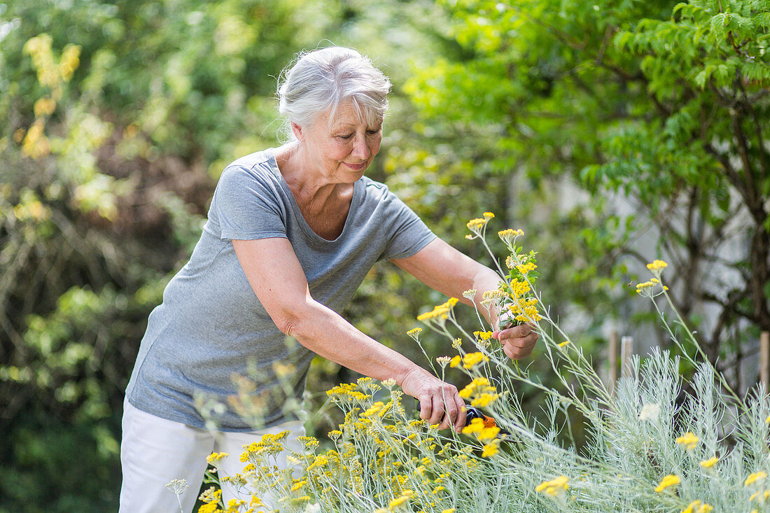 Woman picking flowers