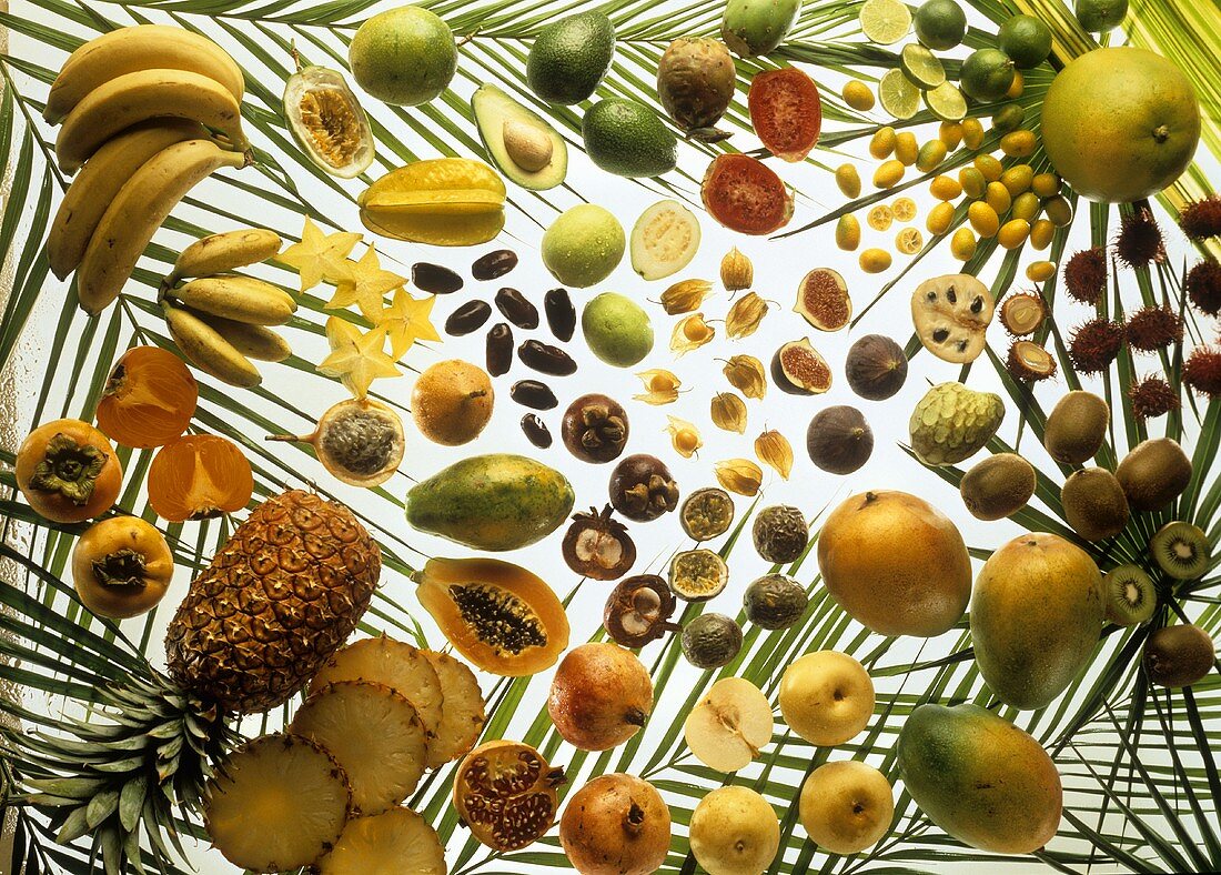 Viele verschiedene exotische Früchte auf Palmenblättern