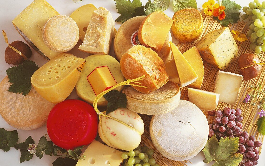 Still Life of Different Types of Cheese
