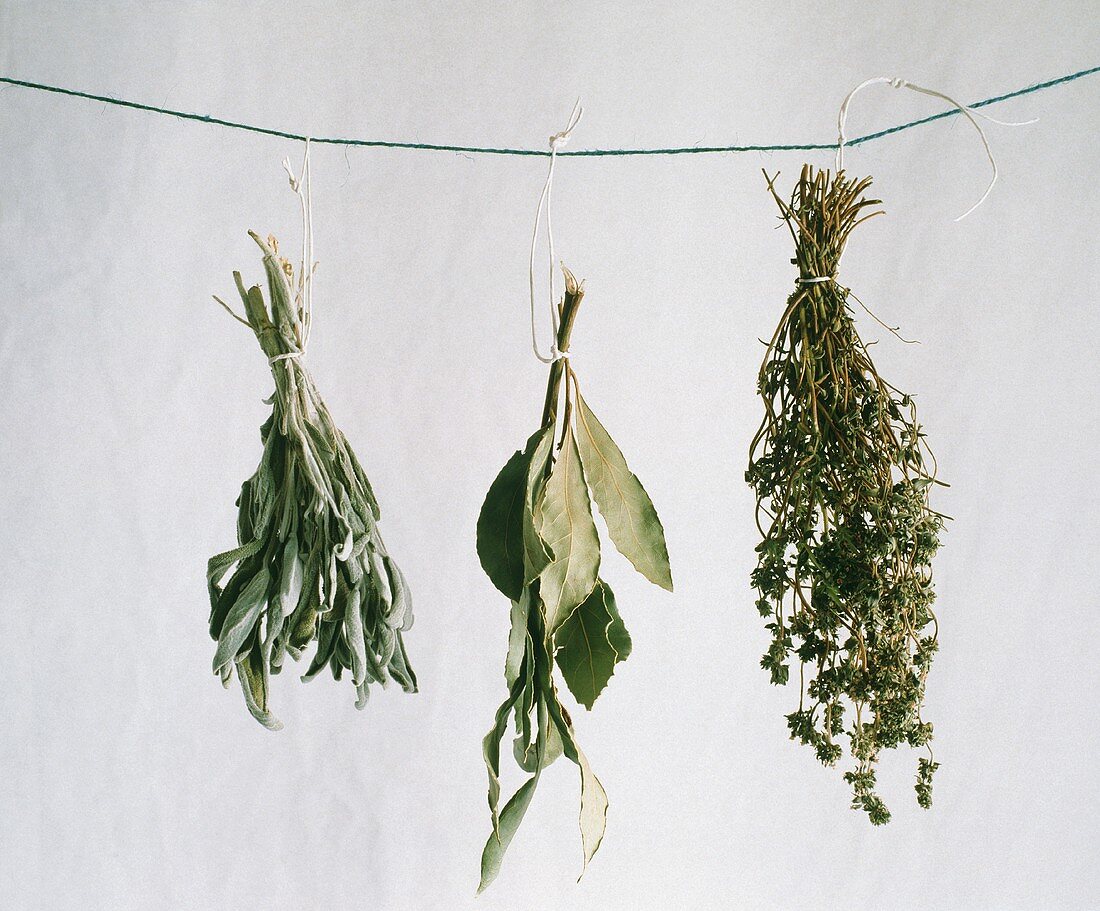Three Dried Herb Bouquets Hanging From a String