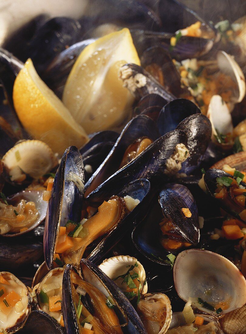Mussels and clams in wine stock