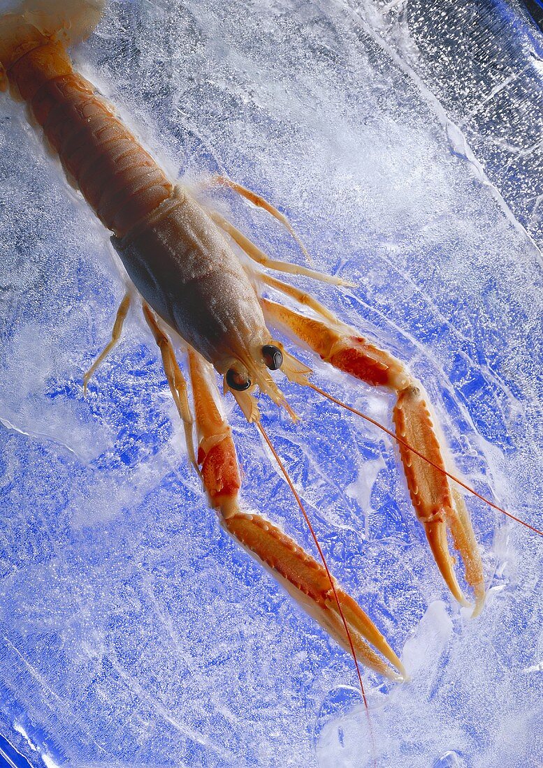 Frozen Shrimp on Ice