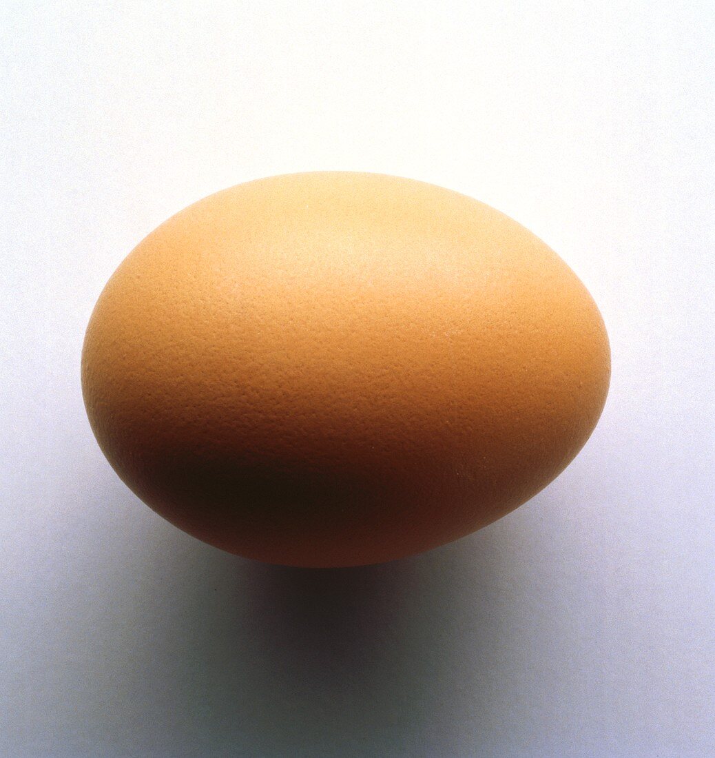 Single Whole Brown Egg