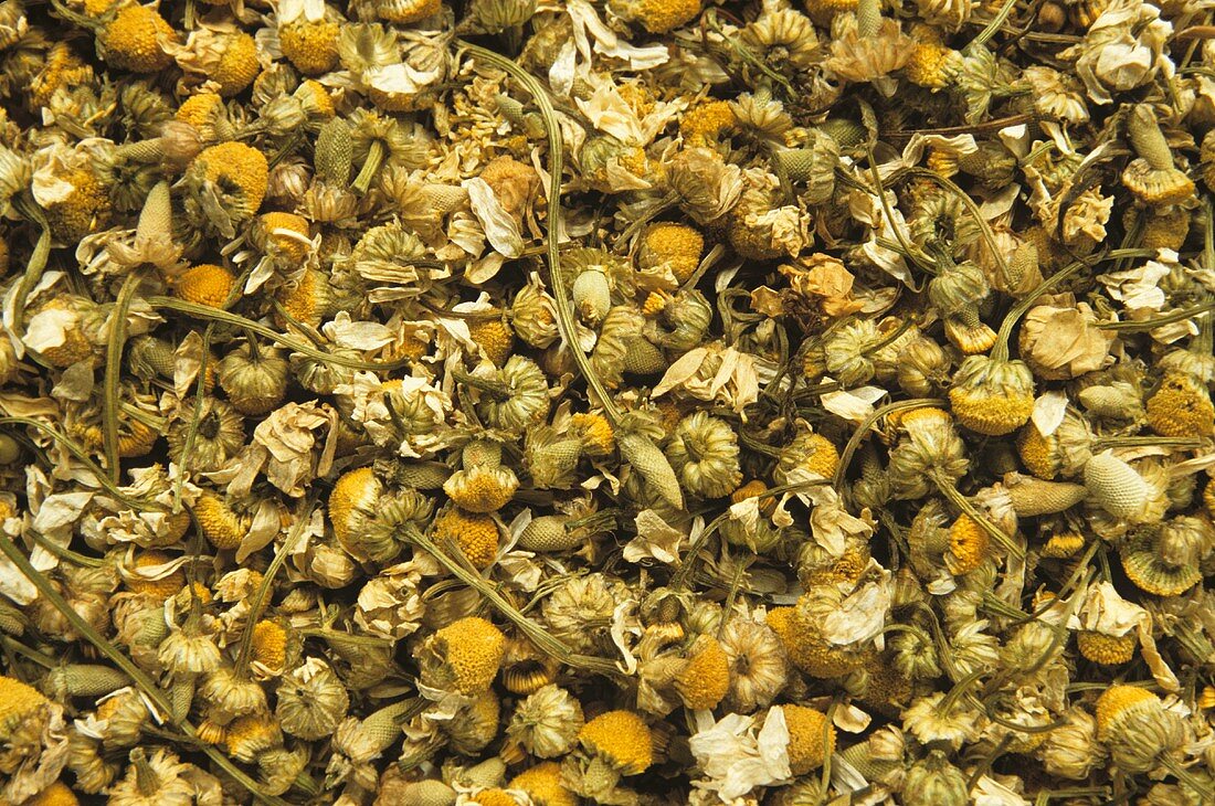 Many Dried Camomile Blossoms