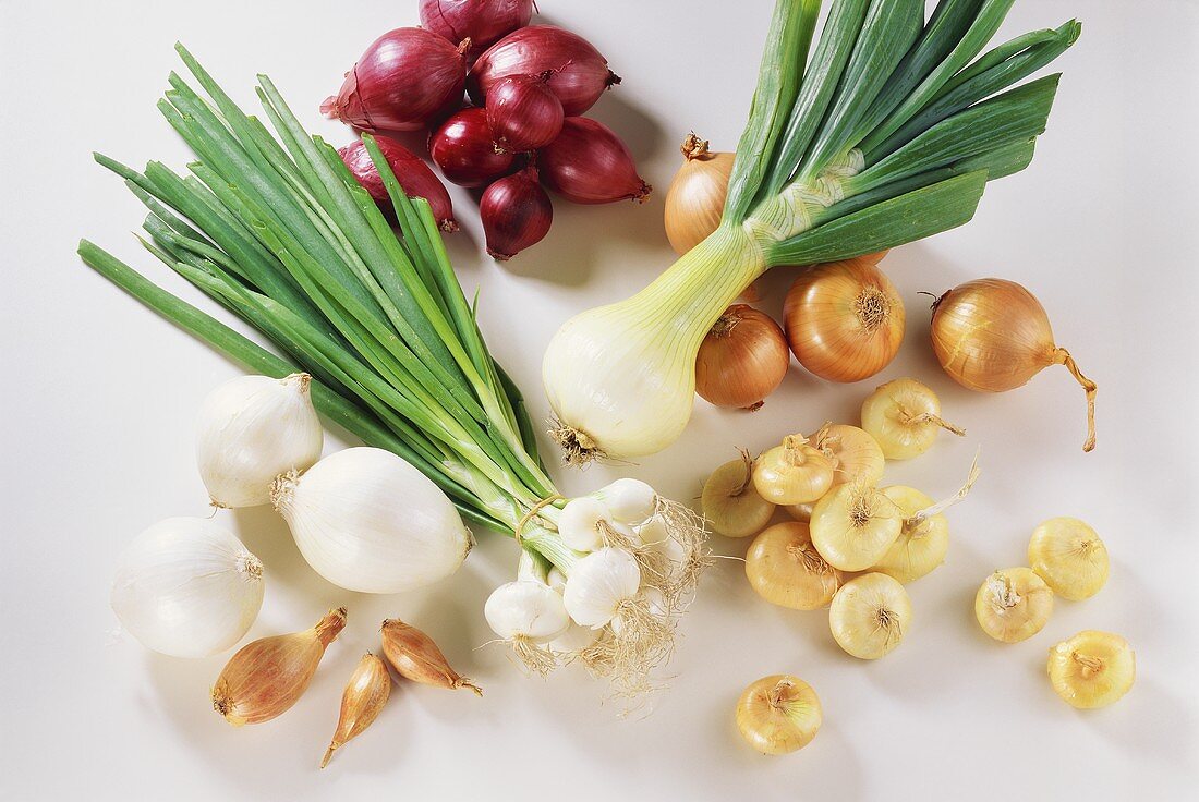 Still Life of Several Assorted Onions