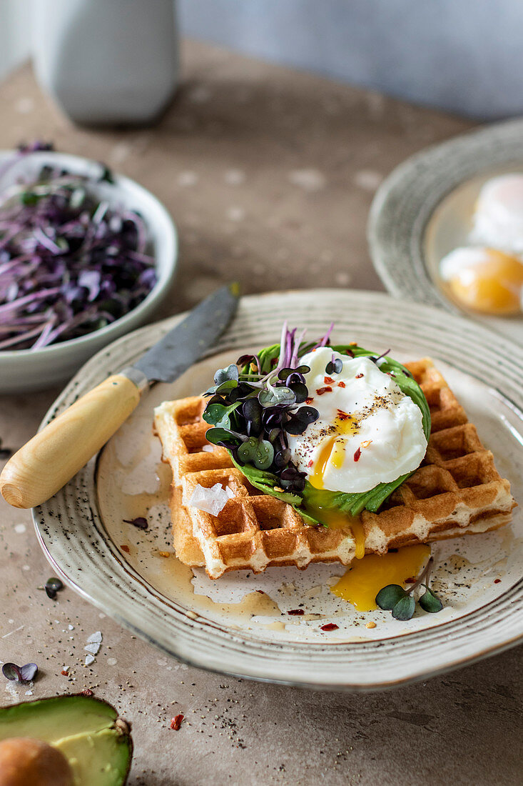 Waffle breakfast topped with pouched egg on avocado rose with radish sprouts