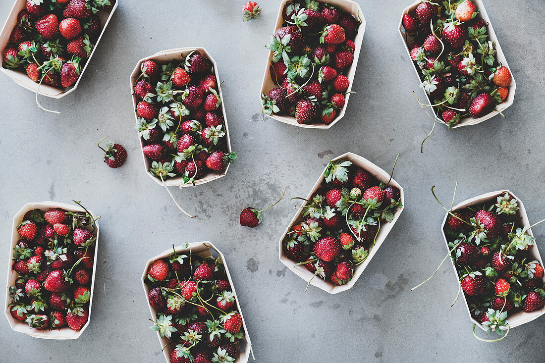 Frisch geerntete Erdbeeren in Pappschalen (Aufsicht)