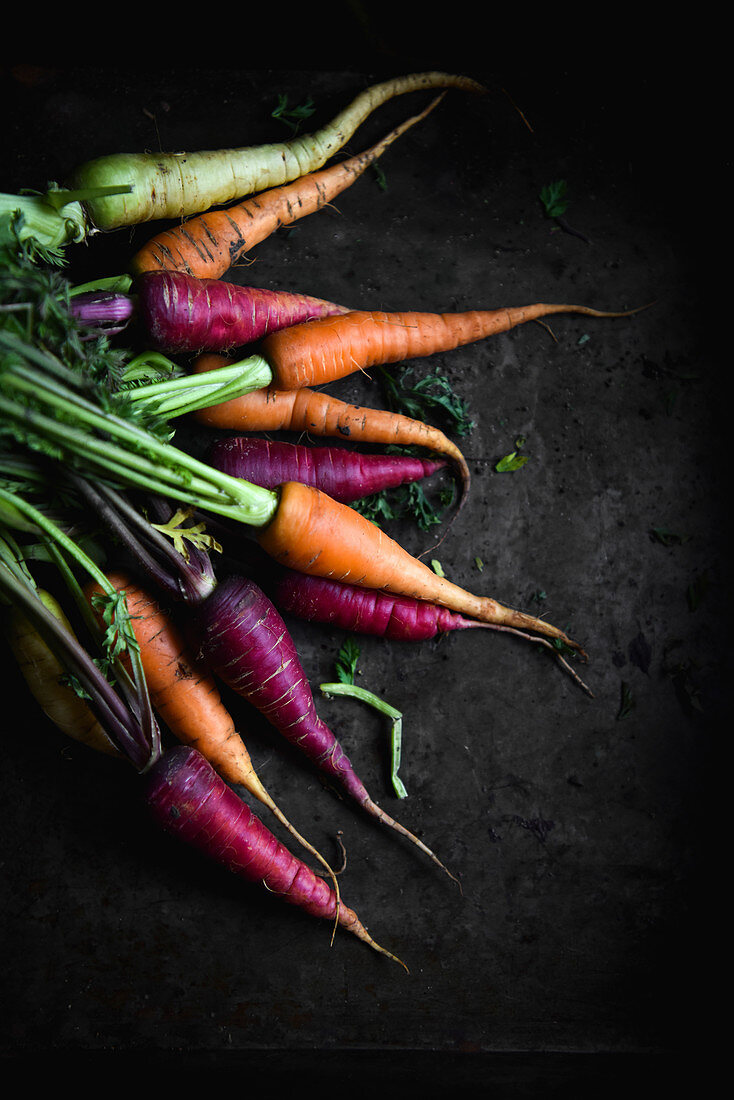Verschiedenfarbige Heirloom-Karotten auf dunklem Untergrund
