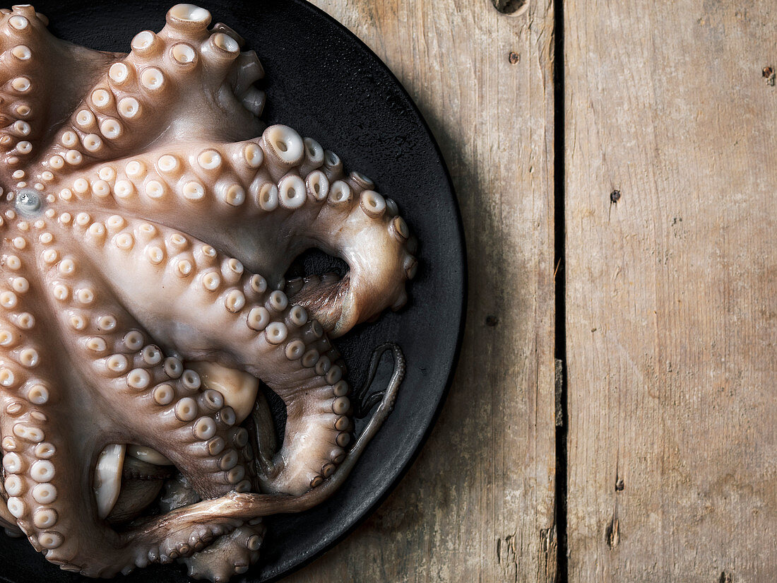 Raw octopus on dark plate over wooden background
