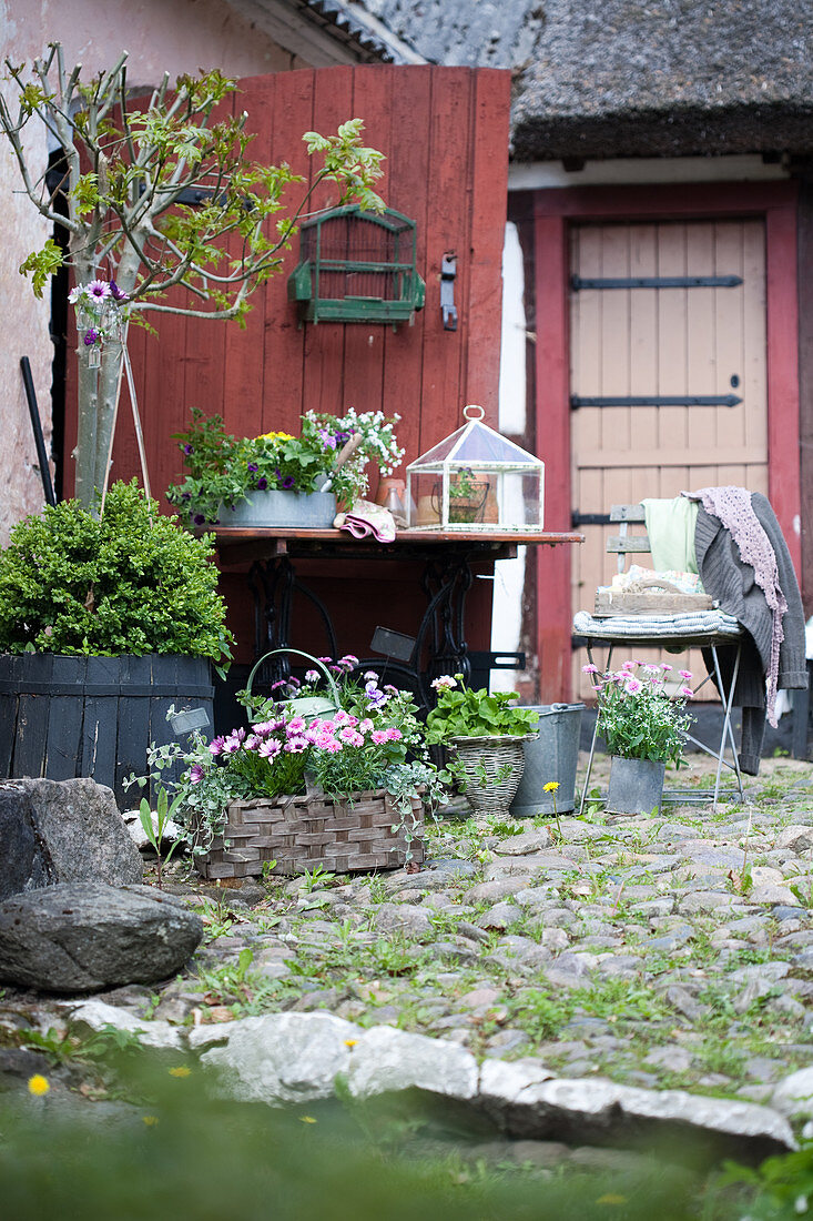 Blumen, Pflanzen und Vintage-Deko auf dem Hof vorm roten Scheunentor