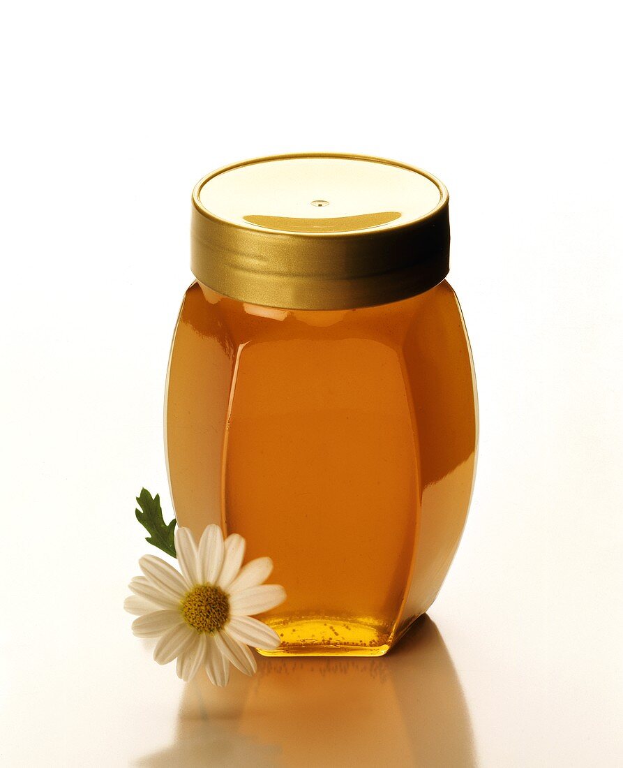 A Glass Jar Full of Honey; Daisy