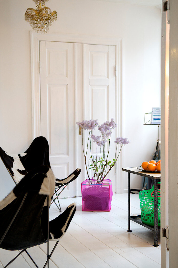 Butterfly Chair and lilacs in pink plastic basket in front of a panelled door