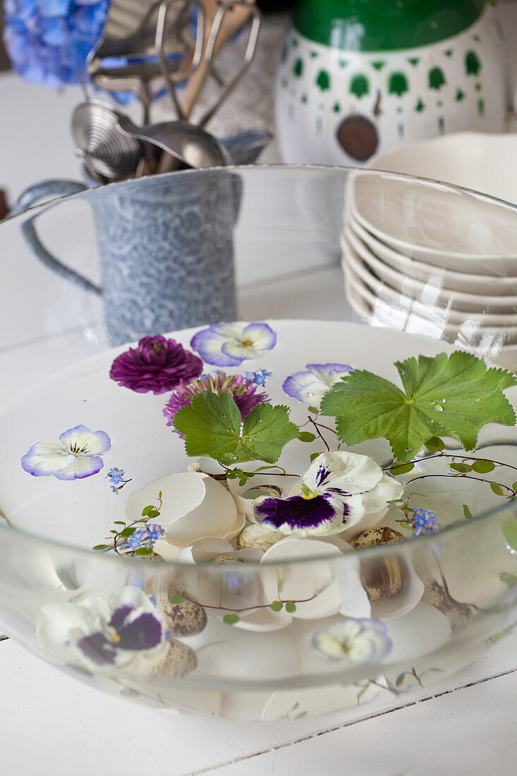 Violas, lady's mantle and egg shells in bowl of water