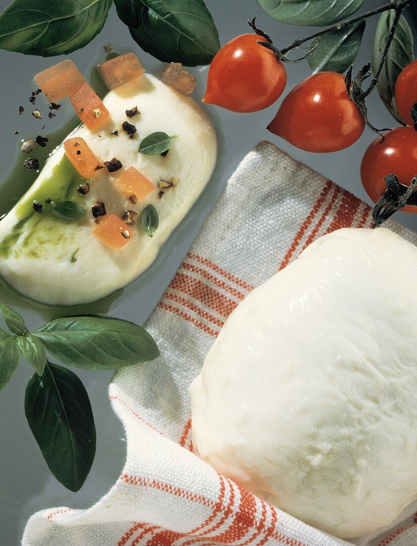 Fresh Mozzarella Appetizer with Tomato; Basil