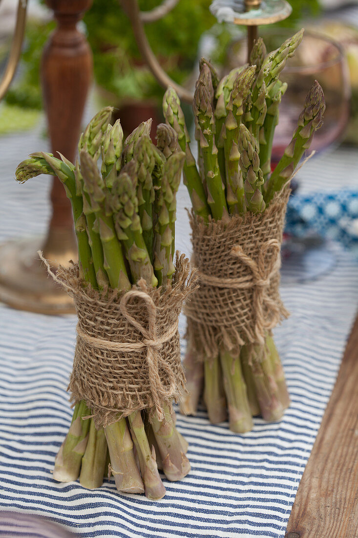 Grüner Spargel im Bund mit Juteband und Schnur umwickelt als Tischdeko