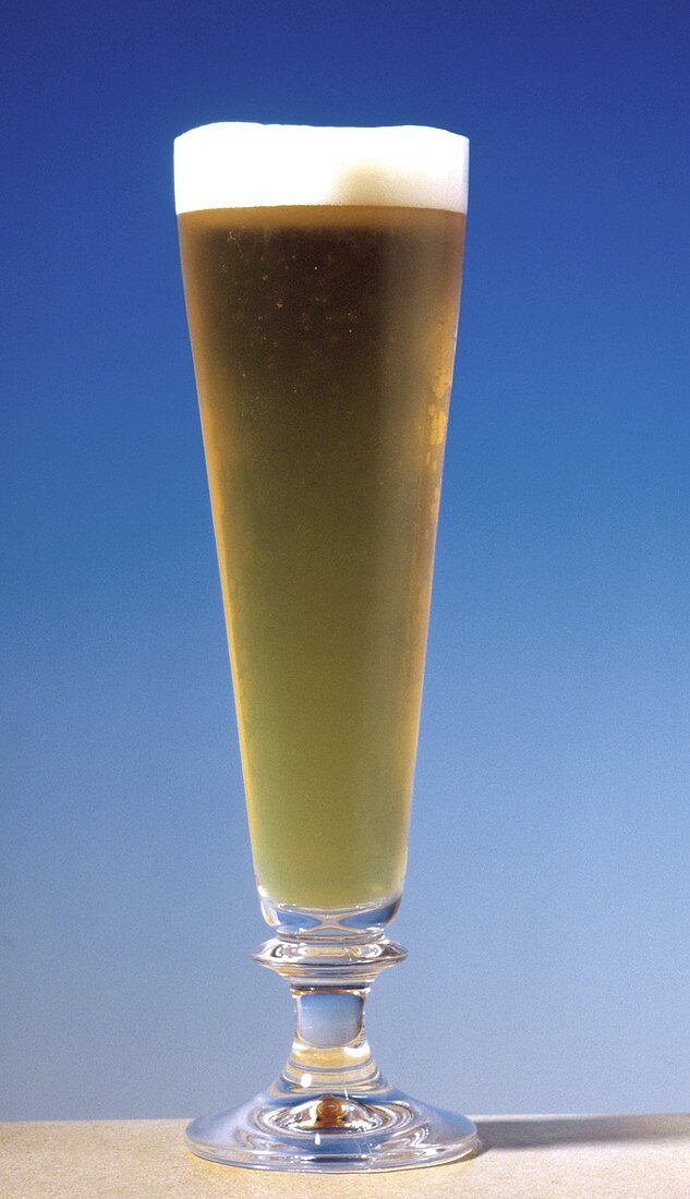 Ein Glas Bier (Pils) in hohem Glas