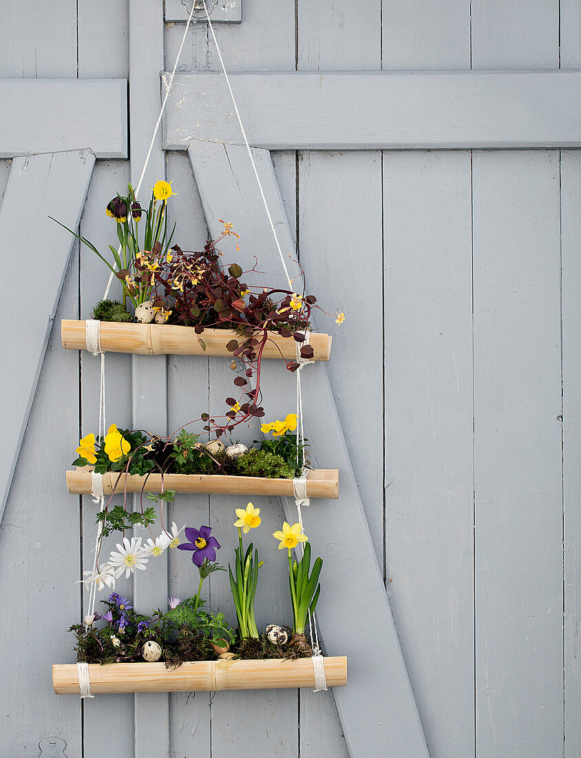 Selbstgemachte Blumenampel aus Bambus mit Frühlingsblumen am Scheunentor