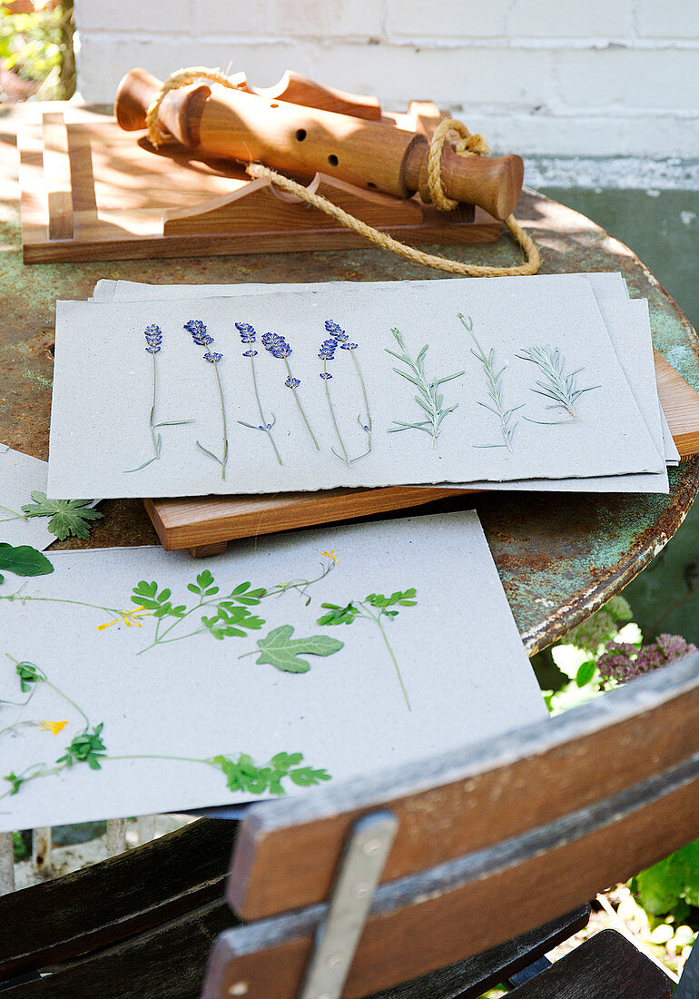 Pressed flowers and leaves on paper