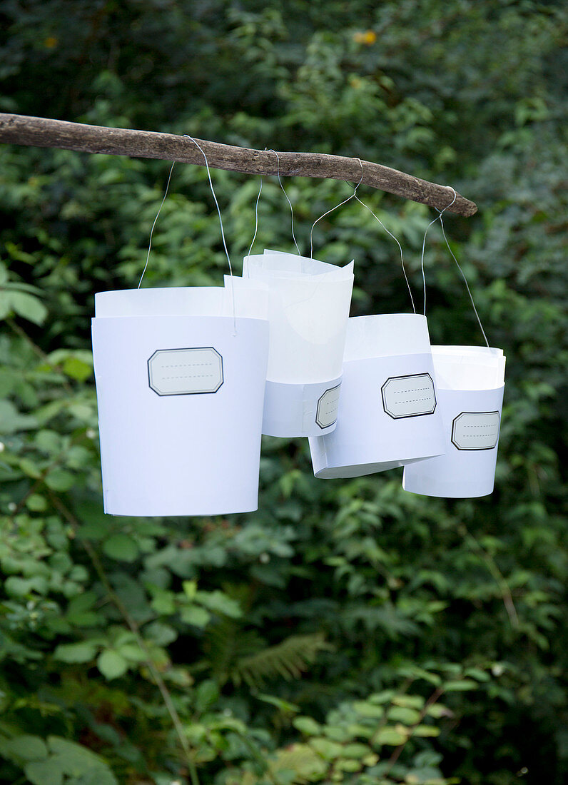 Paper lanterns with nostalgic labels on a stick in the garden