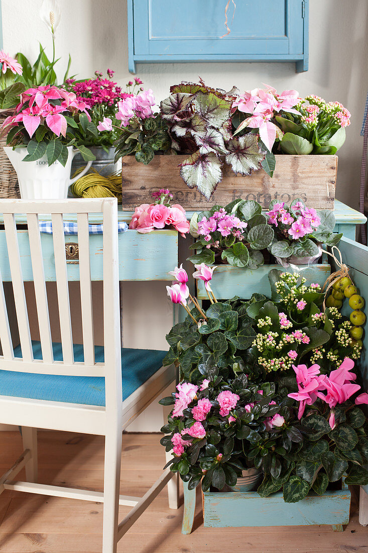 Verschiedene Blumen in Rosa und Pink an einem Schreibtisch in Blau