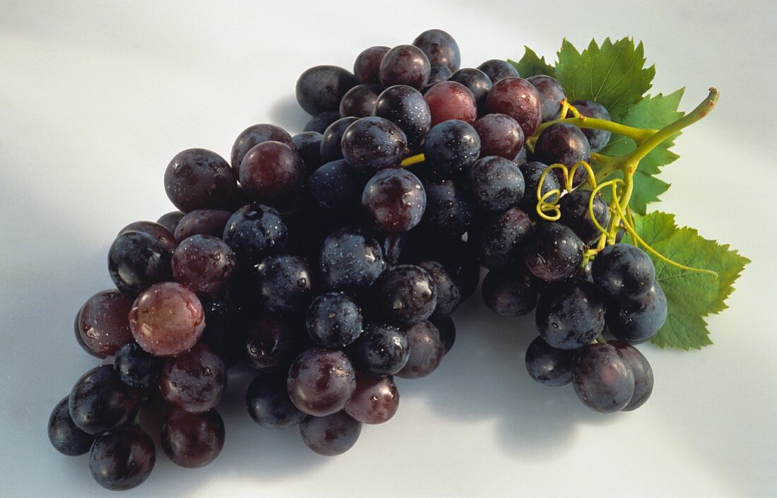 Bunch of Purple Grapes with Leaf