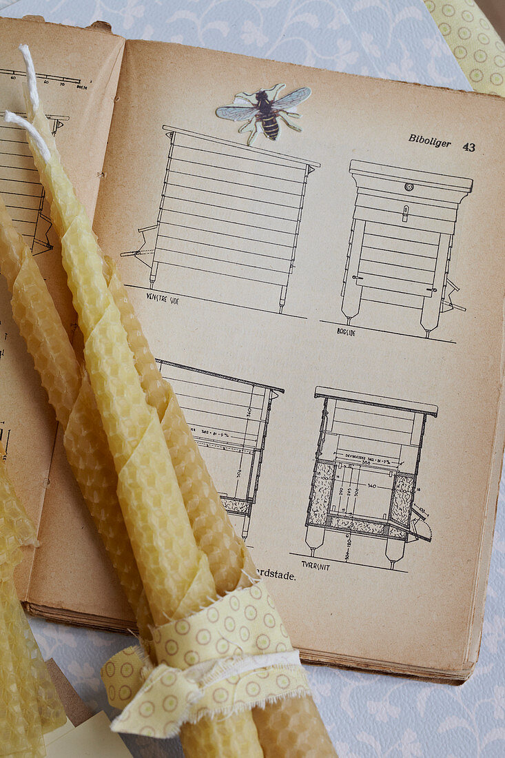 Aus Bienenwachsplatten gerollte Kerzen auf einem alten Buch für Imker