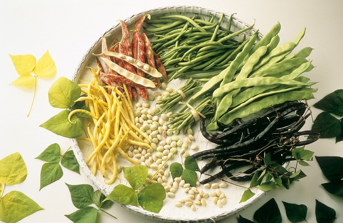 Various types of beans on tray