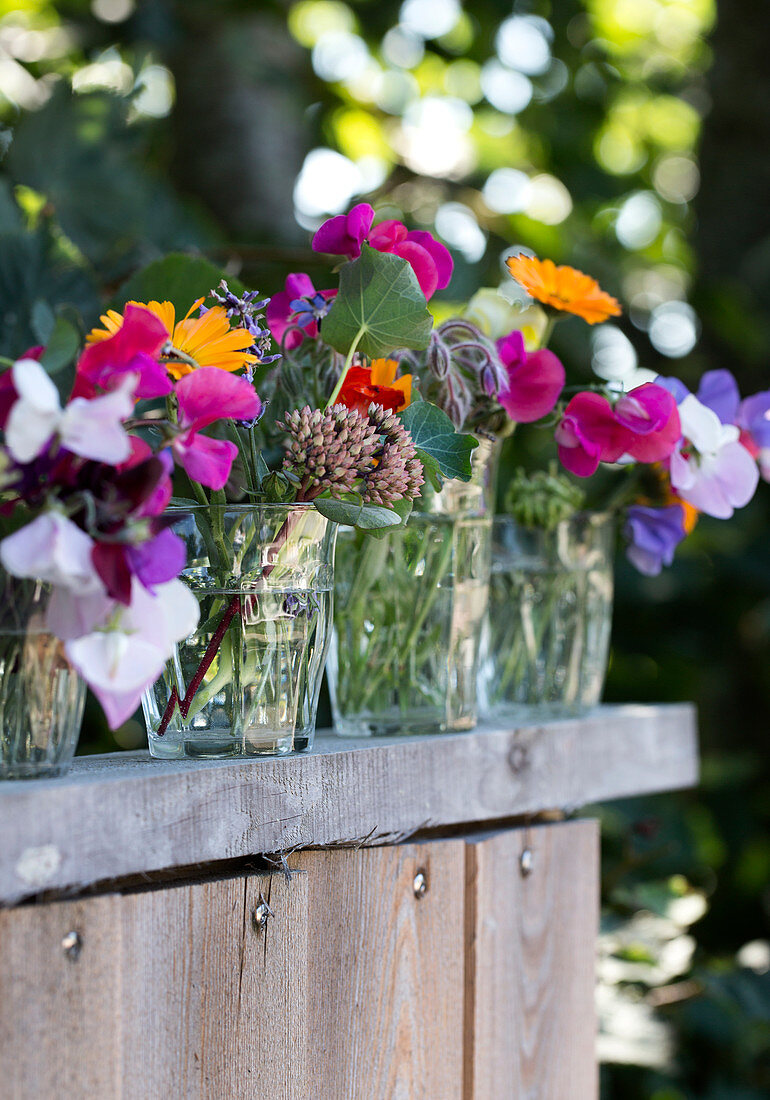 Summer flowers in water glasses on a wooden wall
