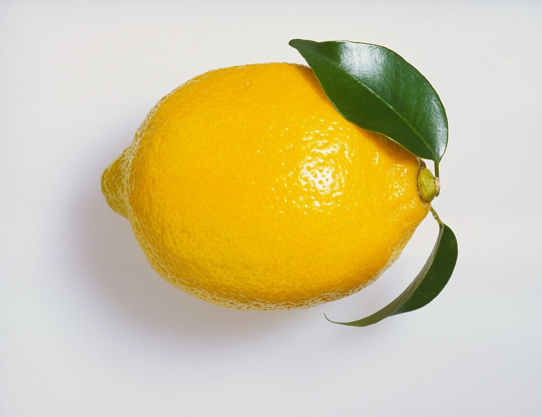 Eine Zitrone mit zwei Blättern