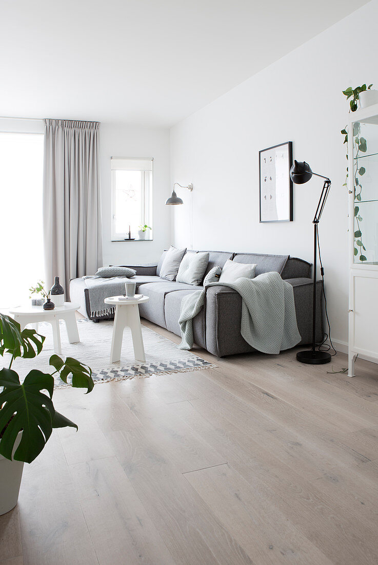 Graues Sofa im schlichten Wohnzimmer im Skandinavischen Stil