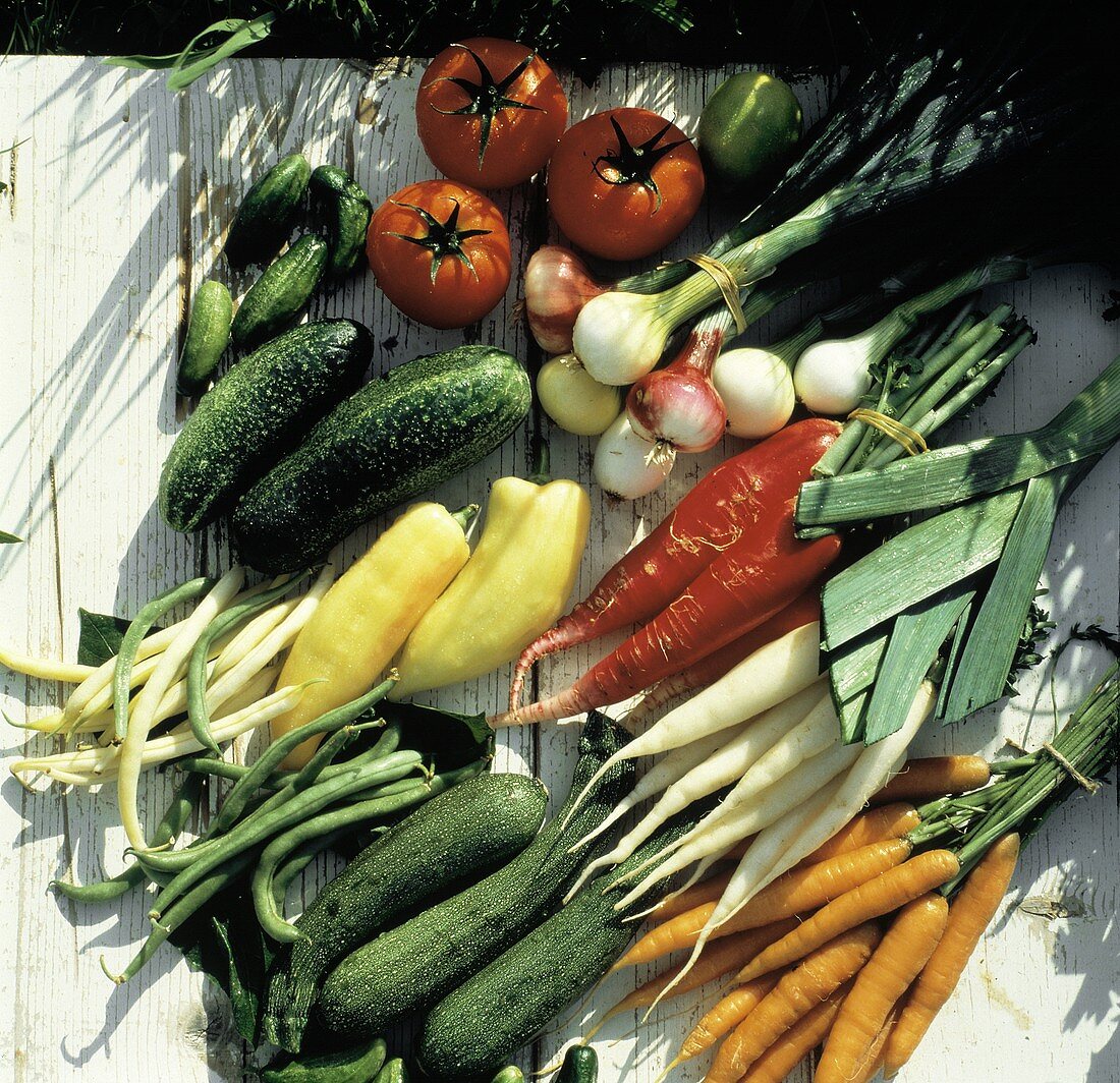 Fresh Garden Vegetables