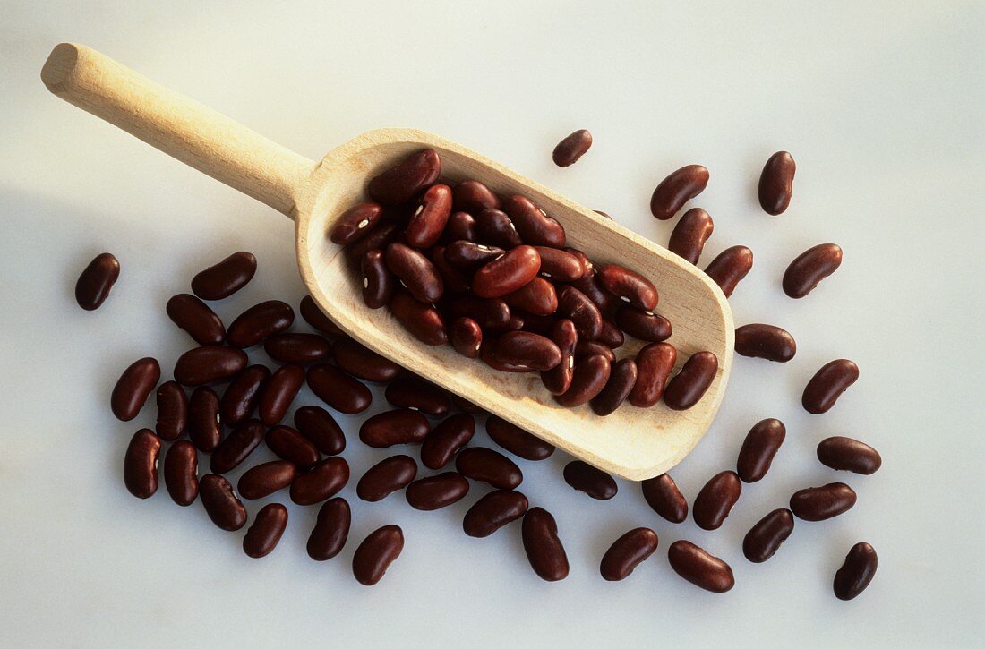 Kidney Beans in a Wooden Scoop