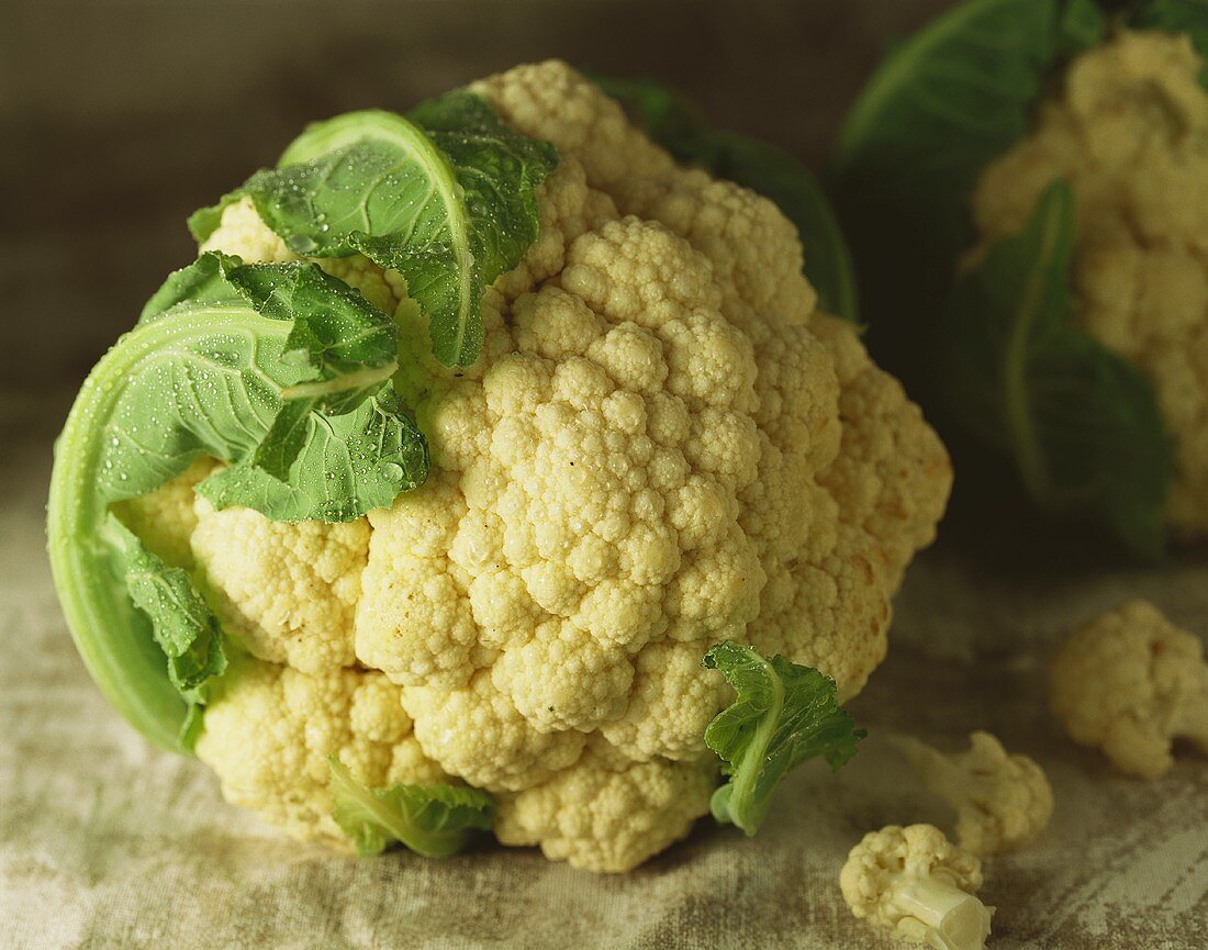 A Head of Cauliflower