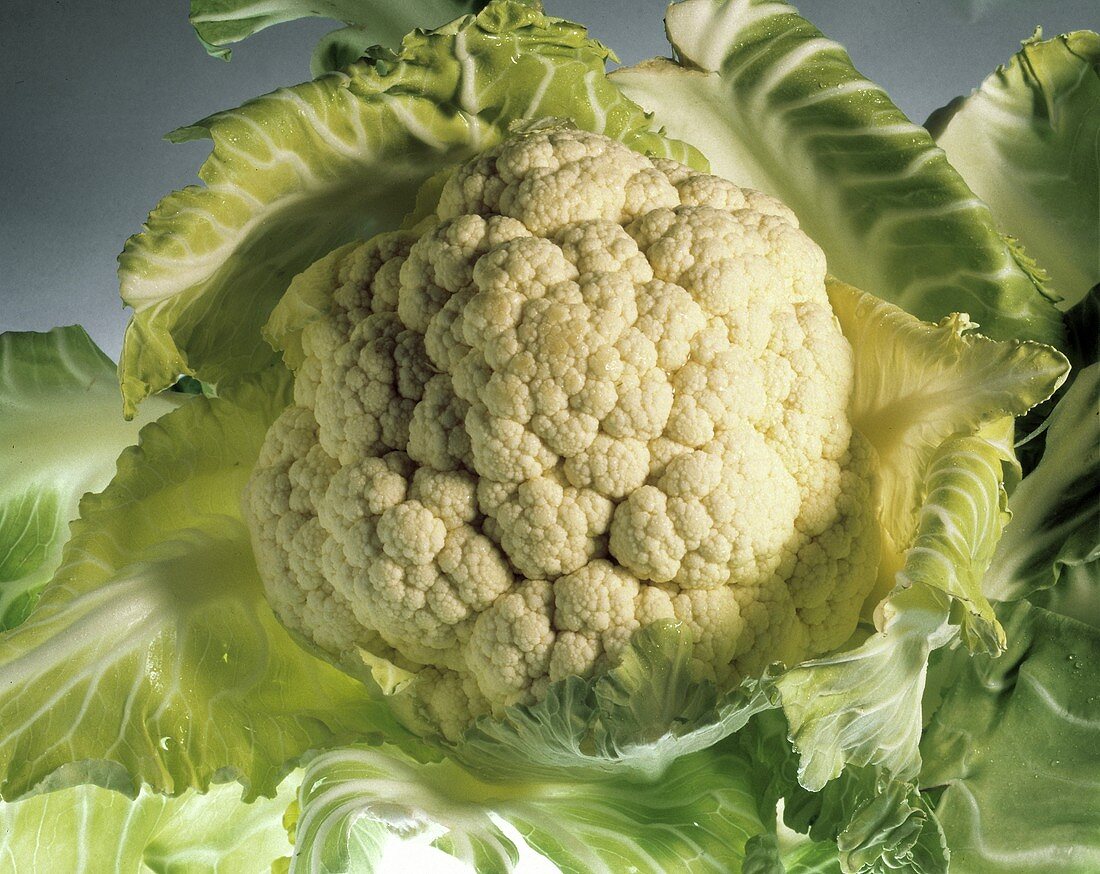 One Head of Cauliflower with Leaves