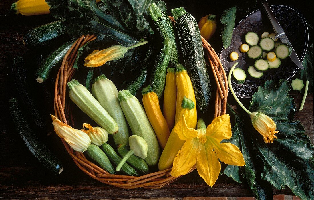 Korb mit verschiedenen Zucchinisorten & Zucchiniblüten