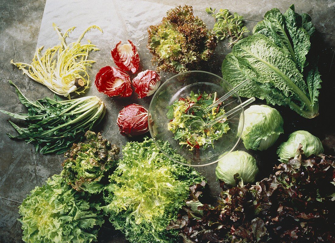 Several Assorted Types of Lettuce