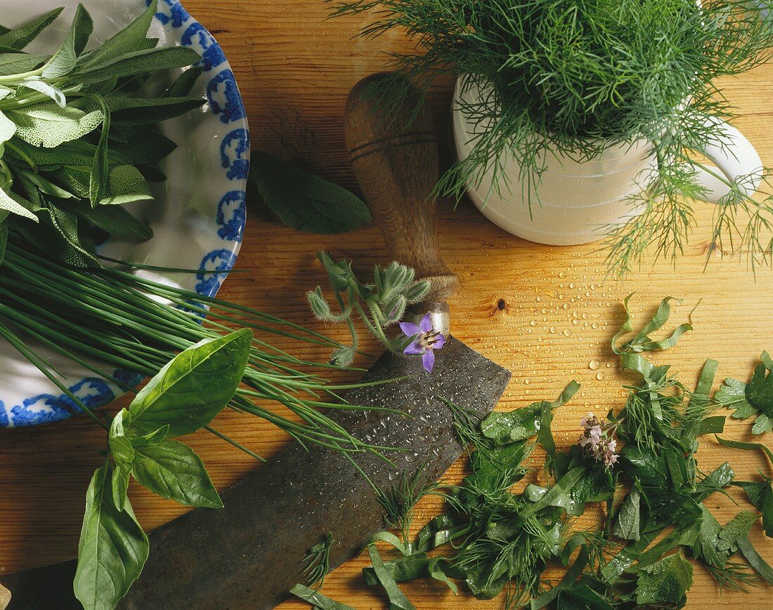 Assorted Herbs with a Chopping Knife